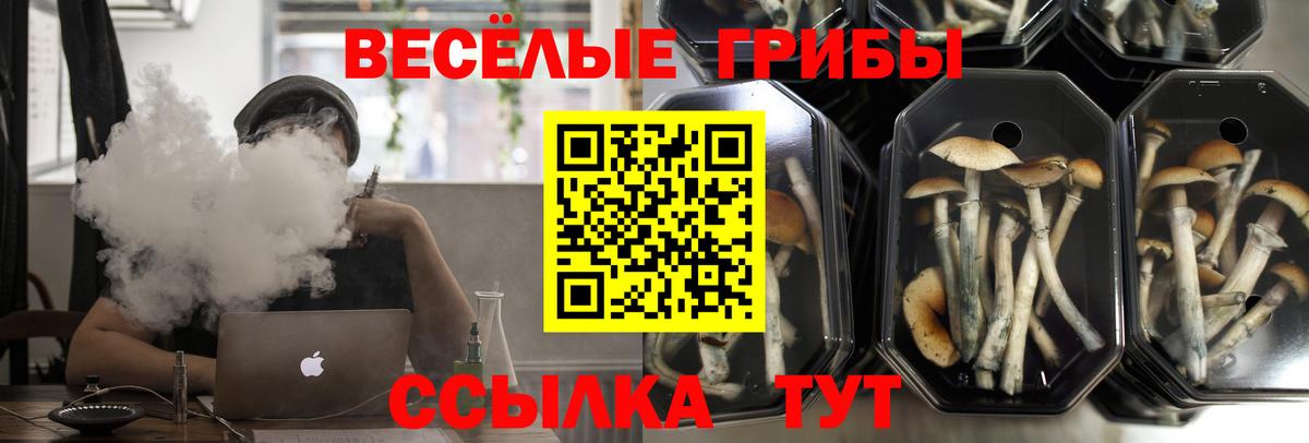 Псилоцибиновые грибы мицелий  Вход с VPN  Зеленодольск 